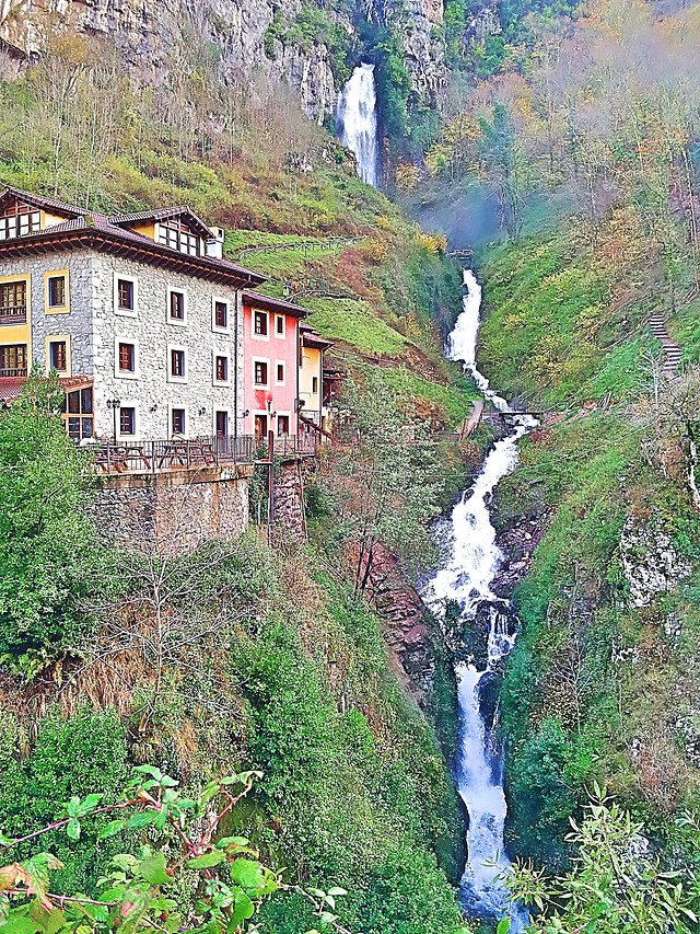 landscape-water-nature-wood-travel picture material