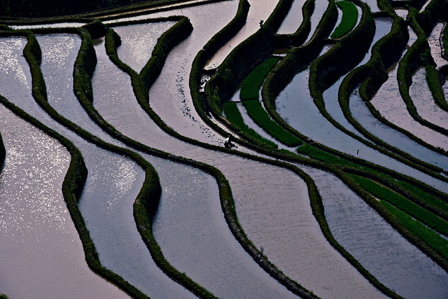 desktop-texture-pattern-abstract-green 图片素材