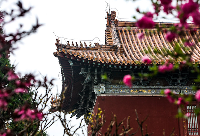 大殿一角 图片素材