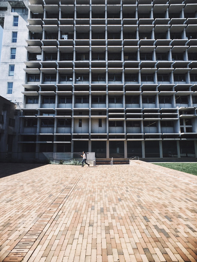 architecture-building-wood-no-person-expression picture material