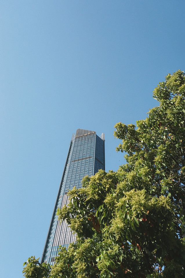 sky-no-person-tree-landmark-architecture 图片素材