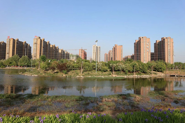 city-water-architecture-river-travel 图片素材