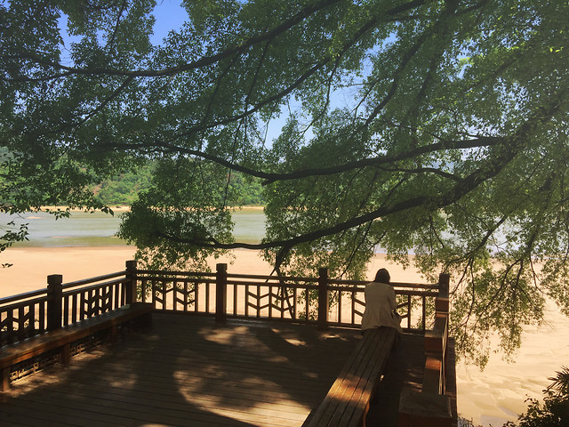 tree-no-person-bench-dawn-water picture material