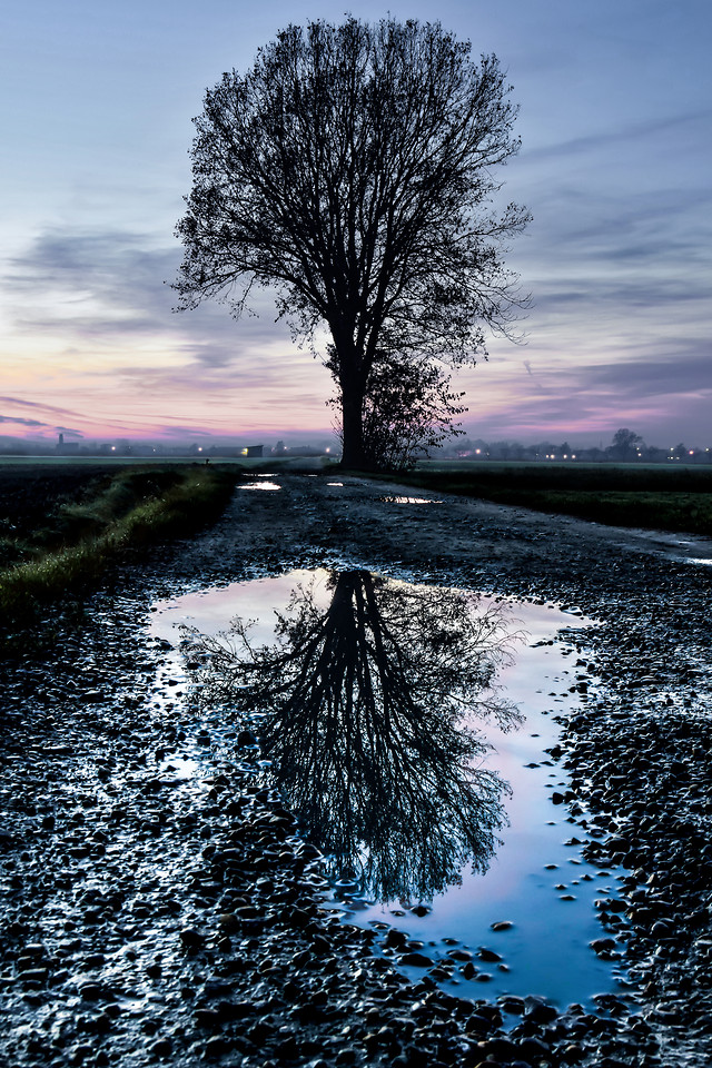no-person-landscape-reflection-water-tree 图片素材