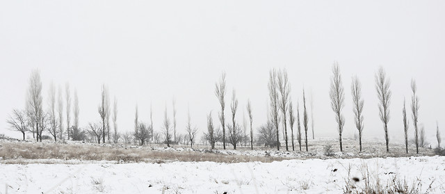 winter-snow-frost-no-person-cold 图片素材