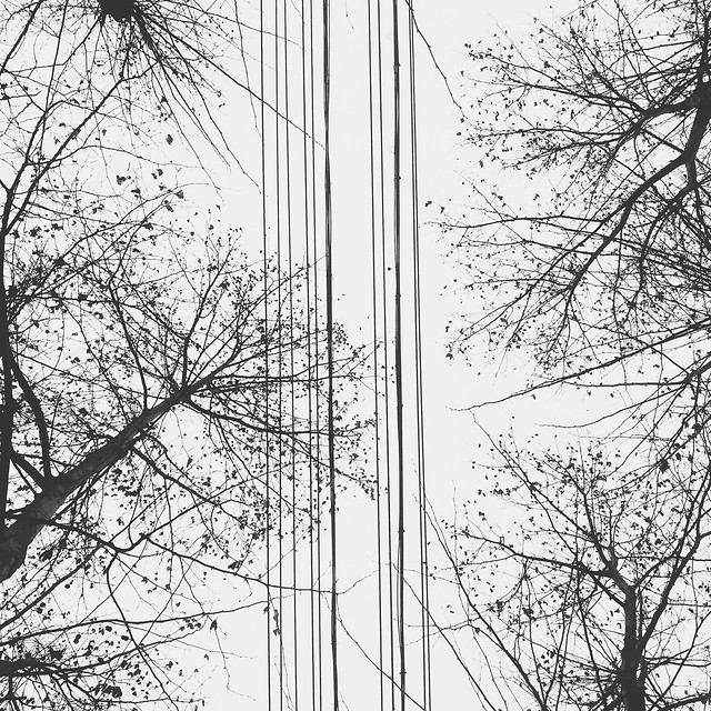 tallest-no-person-sky-tree-steel 图片素材