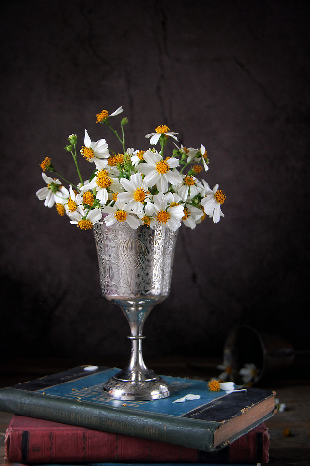 no-person-flower-still-life-drink-nature picture material