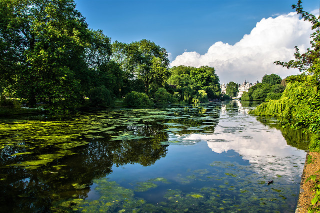 water-nature-river-landscape-reflection 图片素材