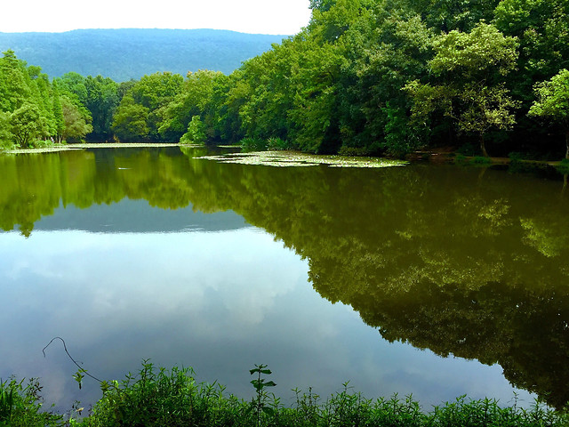 water-no-person-nature-reflection-lake picture material