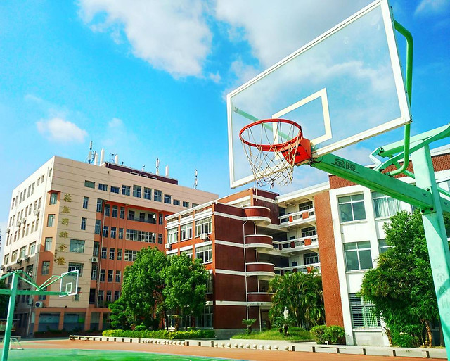 我的校园 图片素材