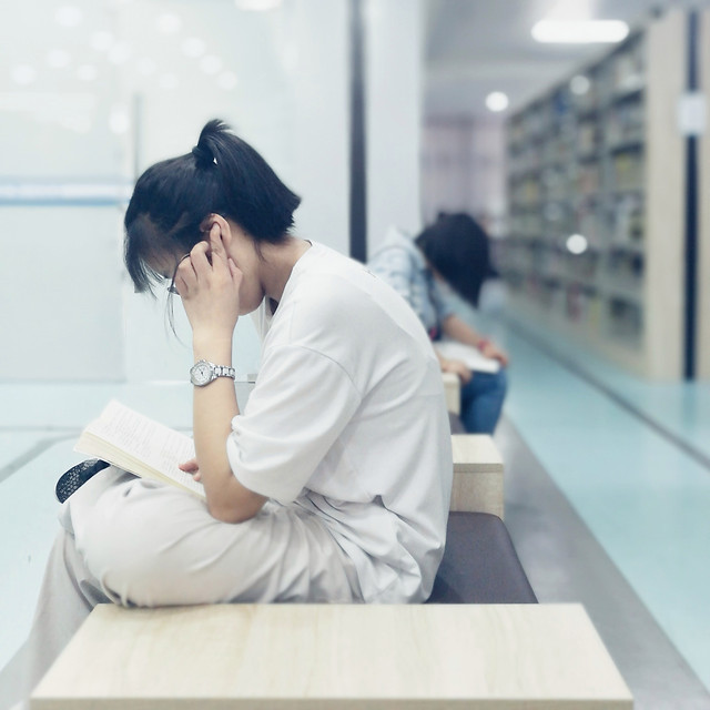 indoors-woman-adult-office-business picture material