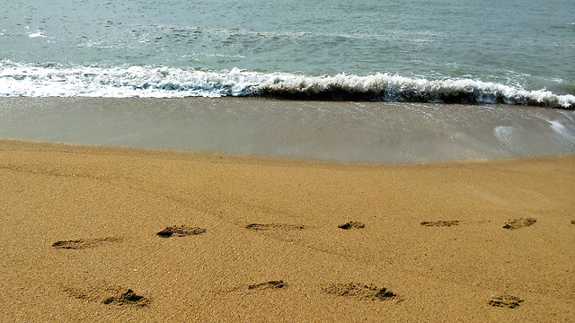 beach-sand-seashore-sea-water picture material