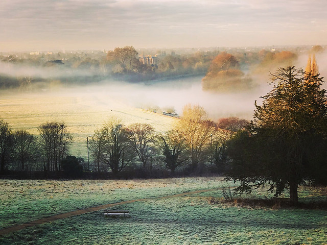 a-misty-morning picture material