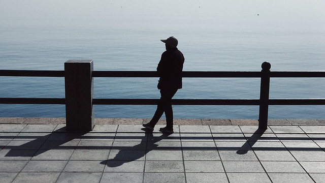 sea-beach-ocean-water-pier picture material