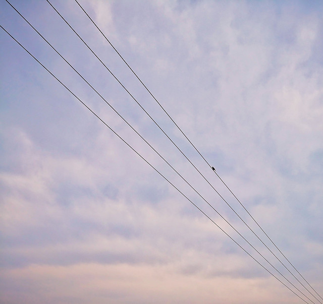 sky-high-wire-energy-no-person picture material