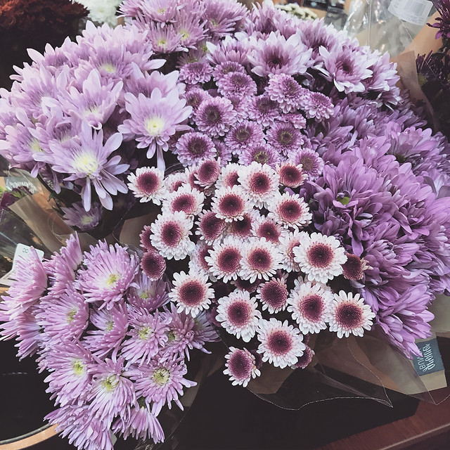 flower-flora-floral-nature-bouquet picture material