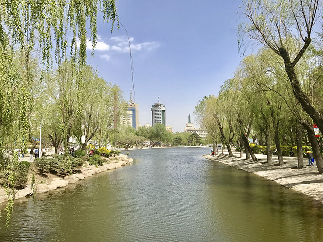 tree-water-river-park-waterway 图片素材