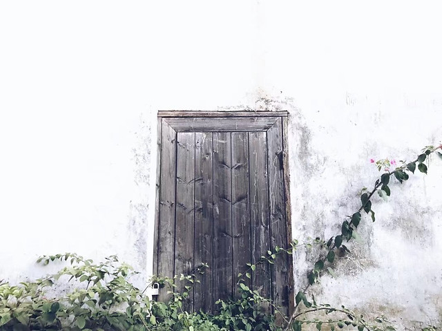 wood-no-person-old-door-architecture picture material