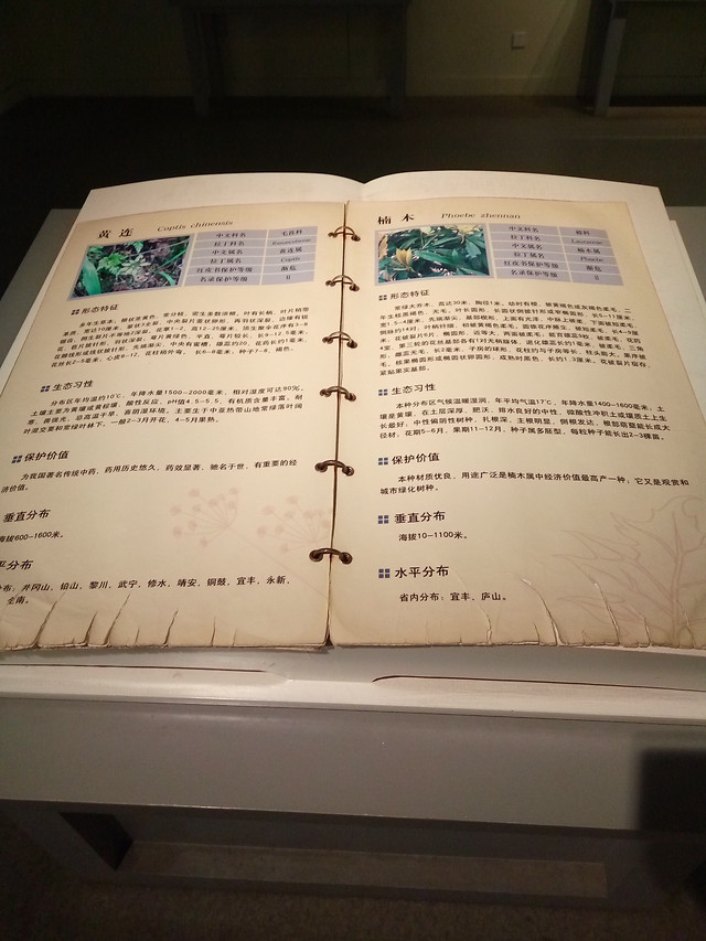 文字 图片素材