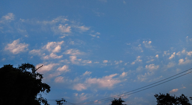 landscape-sky-light-cloud-tree 图片素材