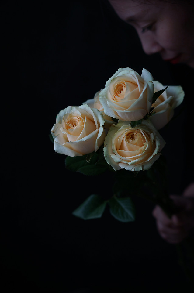 rose-flower-wedding-love-romance picture material