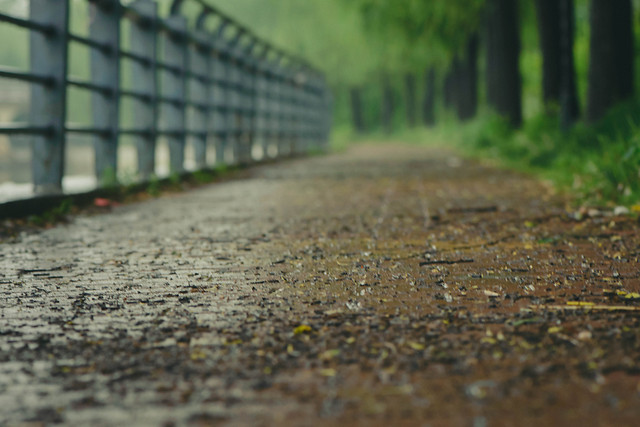 no-person-road-track-nature-guidance 图片素材