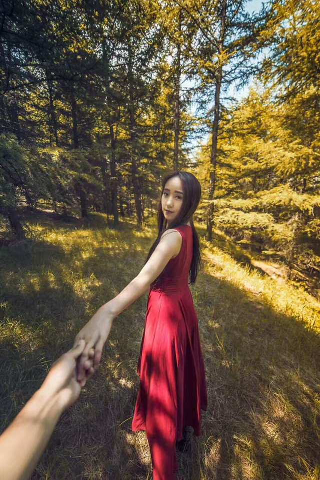 nature-girl-outdoors-woman-wood picture material