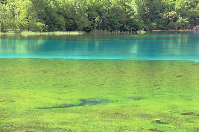 九寨沟 图片素材