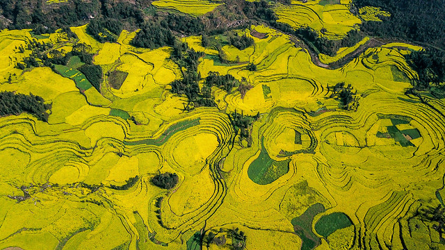 desktop-pattern-landscape-texture-nature 图片素材