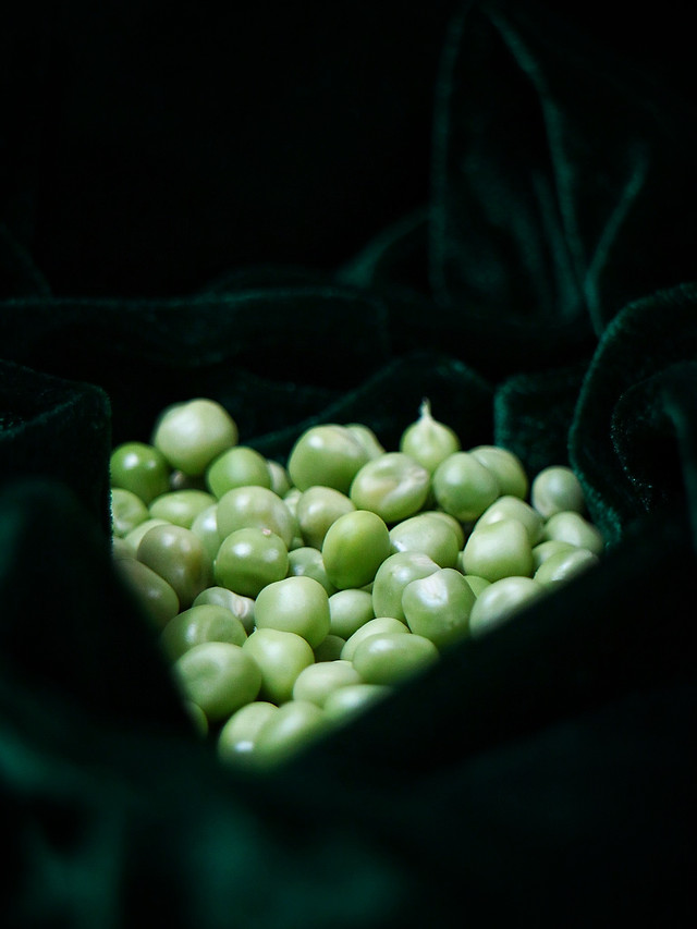 food-fruit-no-person-desktop-grow 图片素材