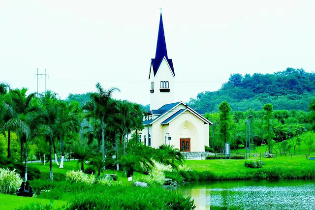 自贡花海 图片素材