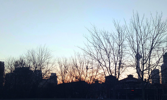 tree-landscape-sky-winter-no-person 图片素材