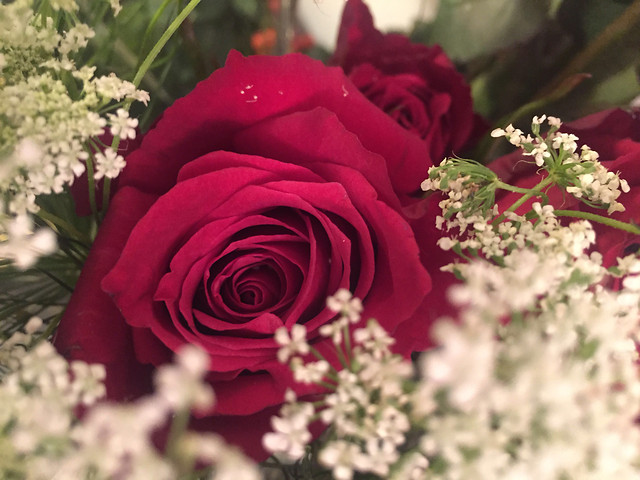 flower-rose-wedding-love-romance picture material