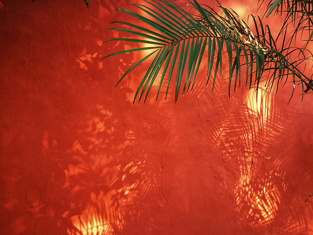 no-person-red-nature-christmas-painting picture material