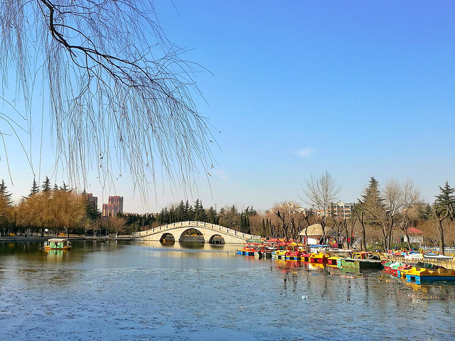 tree-water-river-waterway-lake picture material