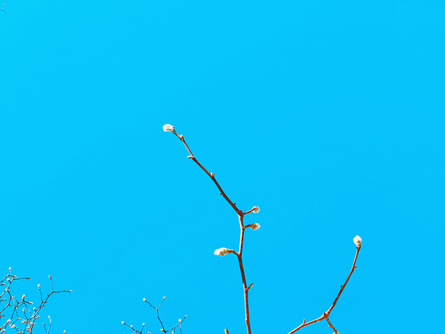 no-person-blue-sky-sky-nature-winter 图片素材