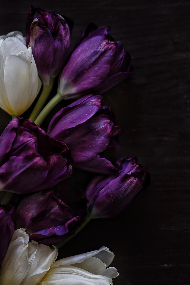 flower-wedding-love-no-person-nature picture material