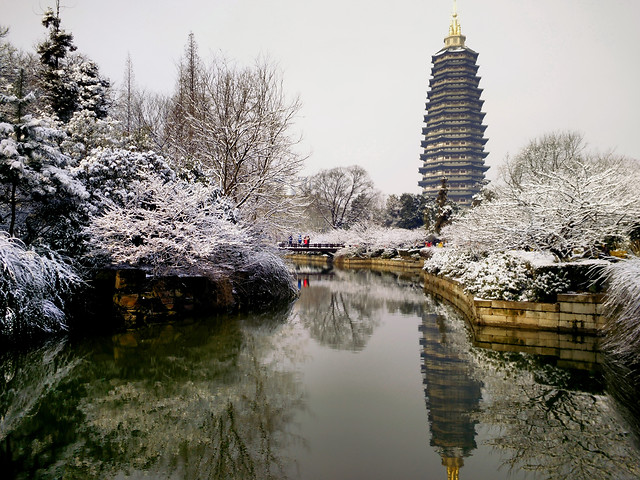 no-person-winter-tree-snow-reflection 图片素材